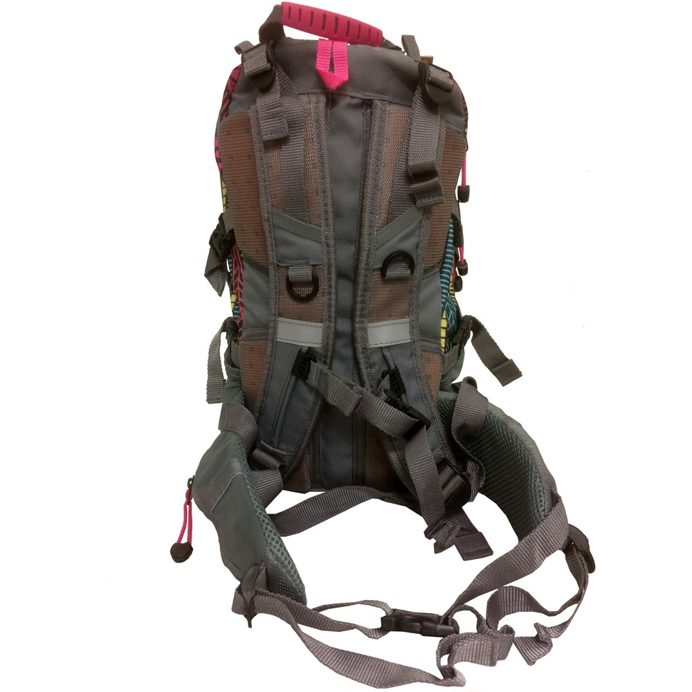 Coleman Kid's Hiking Backpack w/Hydration Compartment